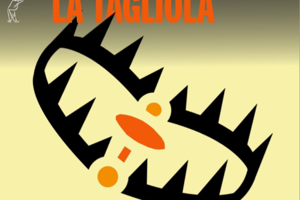 Che cos’è la tagliola che ha fatto saltare il ddl Zan e come funziona