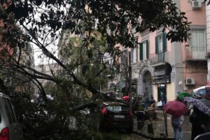 Miracolo a Napoli, albero crolla e abbatte auto in sosta: “Zona sempre affollata, tragedia sfiorata”