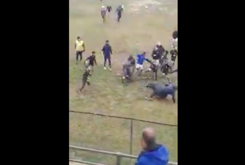 Rissa tra baby-calciatori, dirigente massacrato con calci e pugni