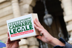Referendum cannabis legale, le 10 fake news: dai buchi nel cervello alla possibilità di guidare ‘strafatti’