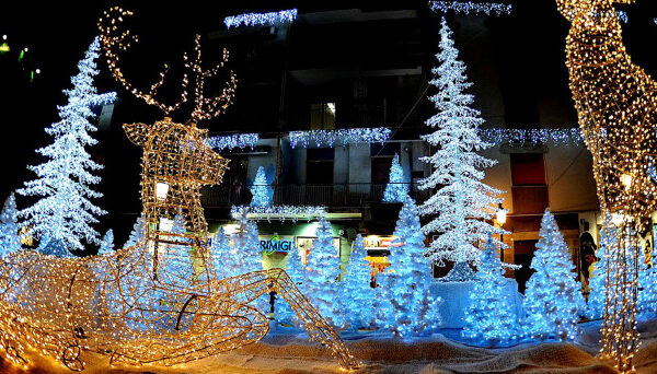 Luci d’Artista al buio, verso l’accensione il 3 dicembre: polemiche dopo lo stop del primo weekend Luci d’Artista al buio, verso l’accensione il 3 dicembre: polemiche dopo lo stop del primo weekend