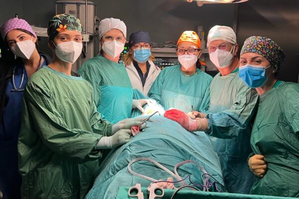 “Straordinario intervento chirurgico” ma non basta: uomo in condizioni disperate muore nonostante sforzi dei medici “Straordinario intervento chirurgico” ma non basta: uomo in condizioni disperate muore nonostante sforzi dei medici