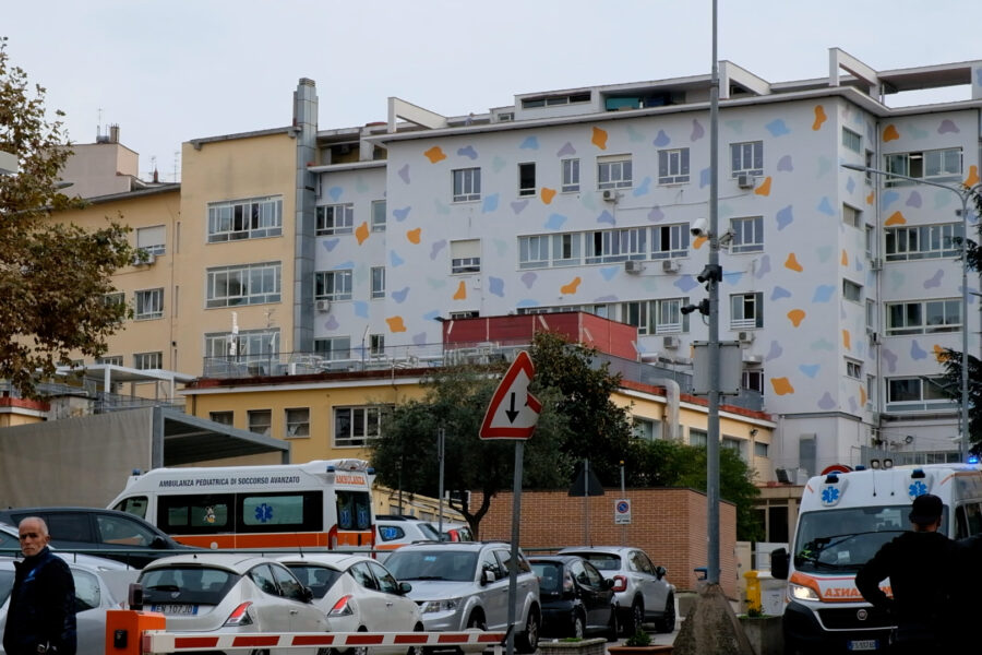 Bimbo azzannato dal cane di famiglia, è in gravi condizioni al Santobono