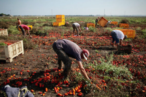 Inchiesta sul caporalato, si dimette il capo dell’Immigrazione al Viminale: la moglie è indagata a Foggia
