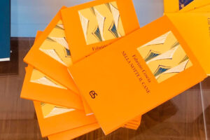 Nella notte il cane, un viandante solitario alla ricerca di un senso