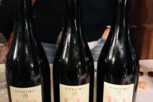 Vino, nella Sicilia più profonda  ecco il ‘soul’ del Cerasuolo di Vittoria