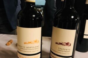 Vino, nella Sicilia più profonda  ecco il ‘soul’ del Cerasuolo di Vittoria