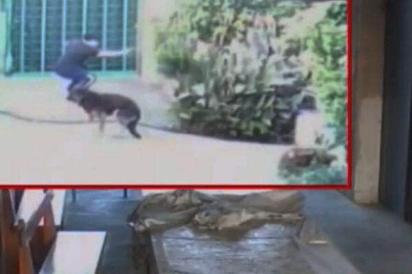 Assessore arrestato per concorso in omicidio: “Fece da tramite con il cartello per reperire il killer”