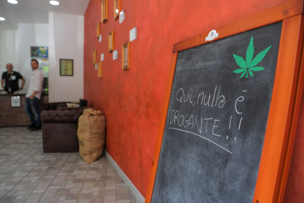 Cannabis light, è guerra: a rischio chiusura 3mila attività