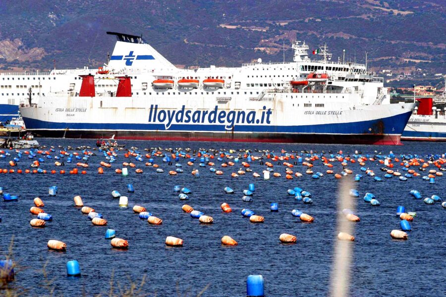 OLBIA MITILICOLTURA FRUTTI DI MARE LLOYD SARDEGNA ISOLA DELLE STELLE TRAGHETTO NAVE