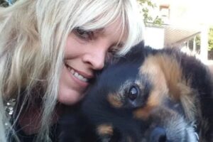 Muore dopo il morso di un ‘ragno violino’, il giallo di Cristina Calzoni: forse sovradosaggio dei farmaci antidolorifici dietro il decesso