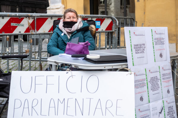 Quirinale, Sara Cunial respinta al seggio drive-in: la deputata No Vax (senza Green pass) bloccata dai commessi