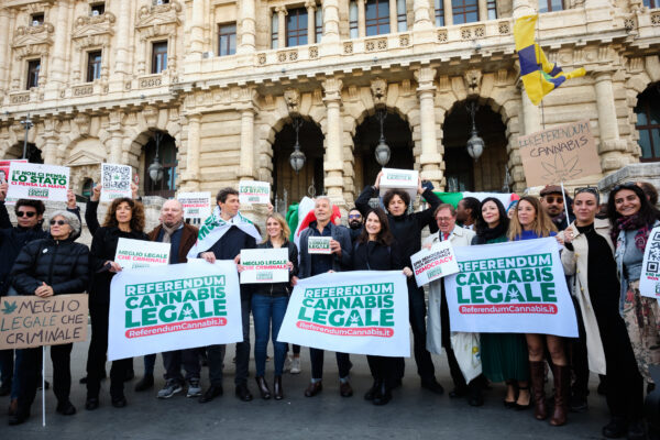 Perché è stato bocciato il referendum sulla cannabis: la decisione della Consulta tra tabelle sbagliate e obblighi internazionali