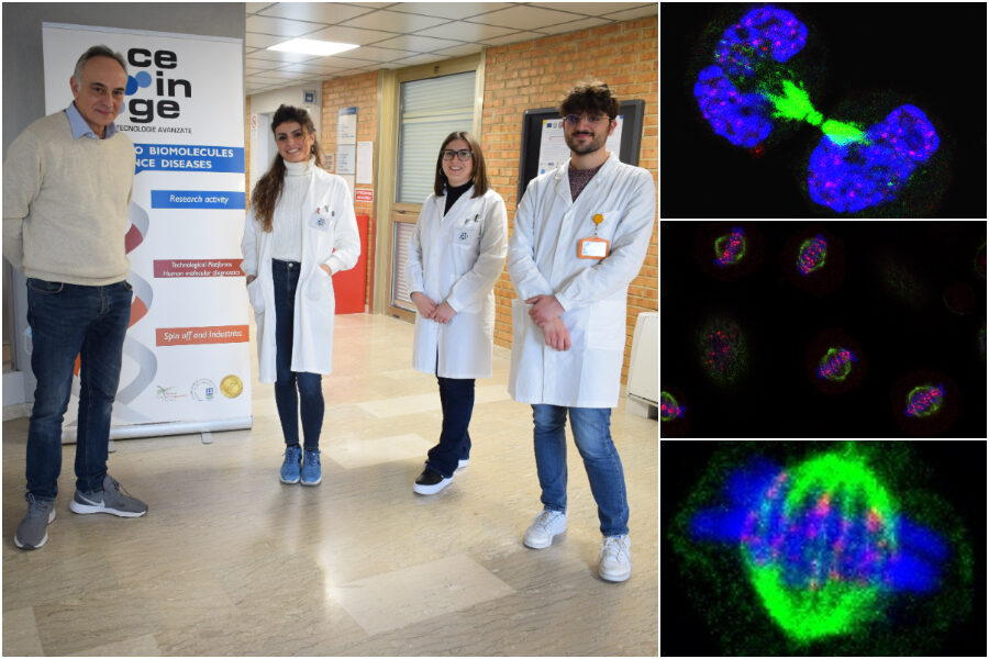 Nella foto grande il gruppo di ricerca da sinistra Domenico Grieco, Angela Flavia Serpico, Caterina Pisauro e Francesco Febbraro. Nelle foto a Destra Una divisione cellulare vista al microscopio,  una divisione cellulare –   microscopia a fluorescenza – meta
e infine divisione cellulare –   microscopia a fluorescenza -metafase.