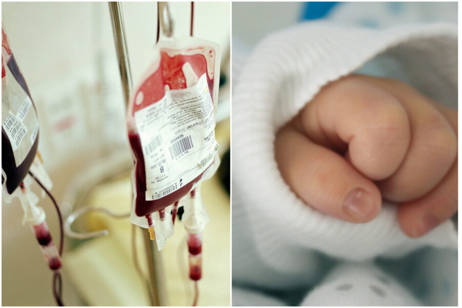“Solo trasfusioni da No Vax per il piccolo”: operato il bimbo della coppia che ha perso la potestà genitoriale