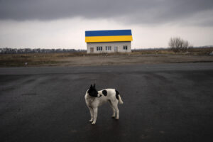 A dog looks at the cars passing by on the road near a house painted with the colors of the Ukraine flag near Malaya Alexandrovka village, on the outskirts of Kyiv, Ukraine, Wednesday, March 30, 2022. (AP Photo/Rodrigo Abd)