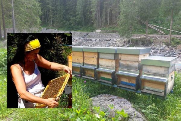 Foto da Faceboook (Dolci sapori del bosco)