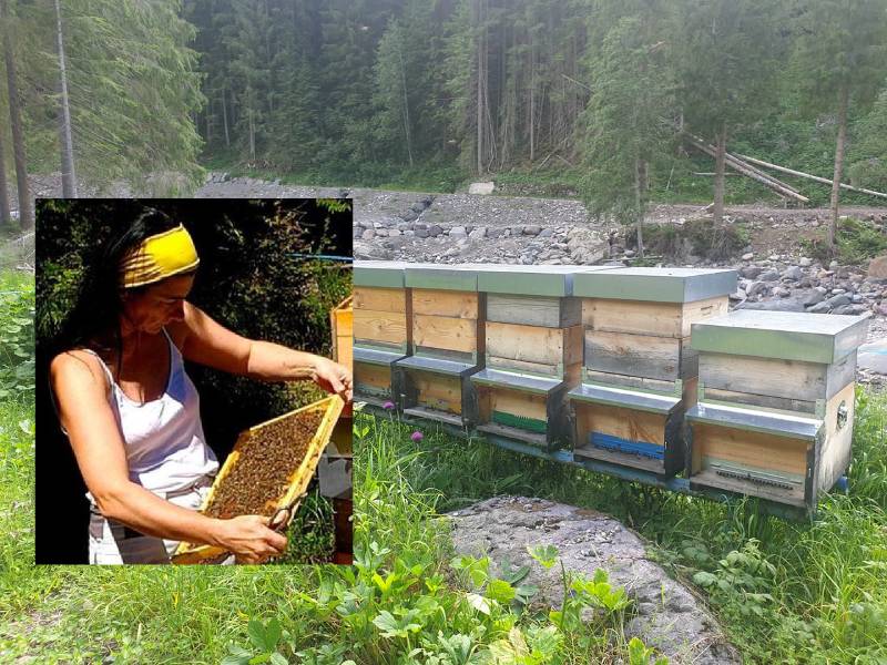 Foto da Faceboook (Dolci sapori del bosco)