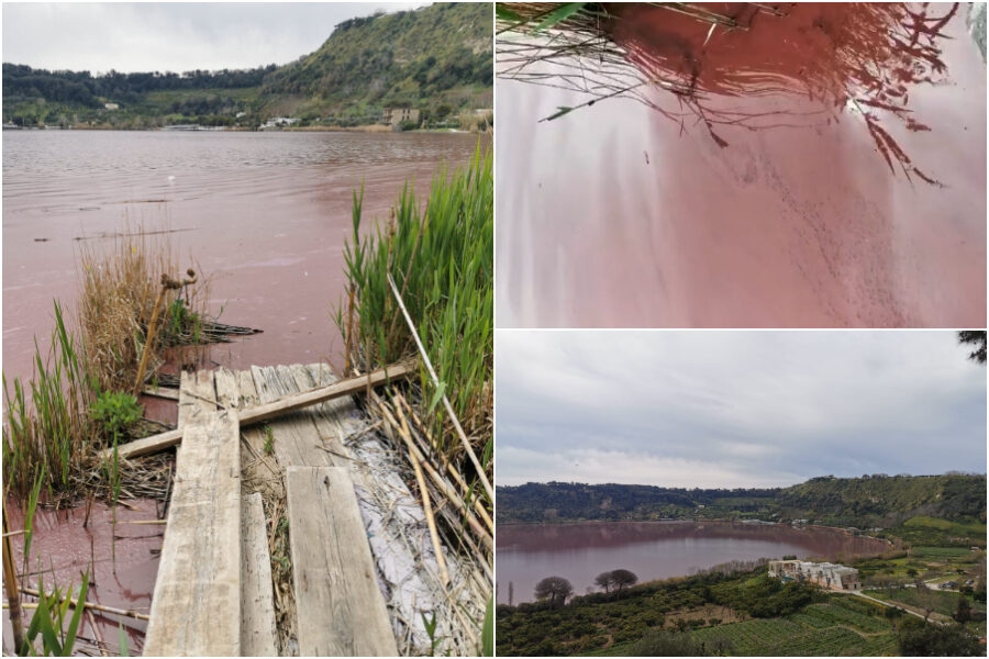 Perché il lago d’Averno è ‘rosso’, l’esperto spiega il fenomeno nei Campi Flegrei: “Ecco cosa sta succedendo”