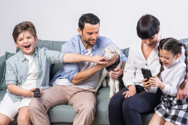 Pasqua, la campagna fotografica per salvare gli agnelli: “Dalla parte degli animali, sovverti la tradizione”