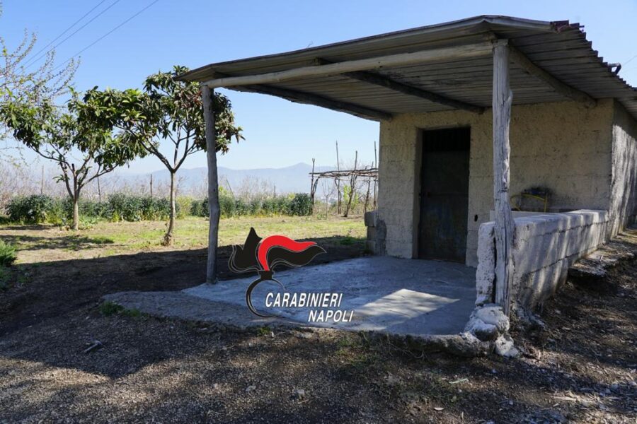 Aggredisce e dà fuoco al fratello ancora vivo per intascare l’indennizzo dell’assicurazione sulla vita: la ricostruzione da brividi della Procura