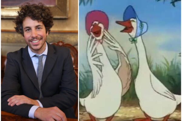 Mattia Santori denuncia “a nome del Pd” il “fatto increscioso”: “Due oche aggredite da due cani”