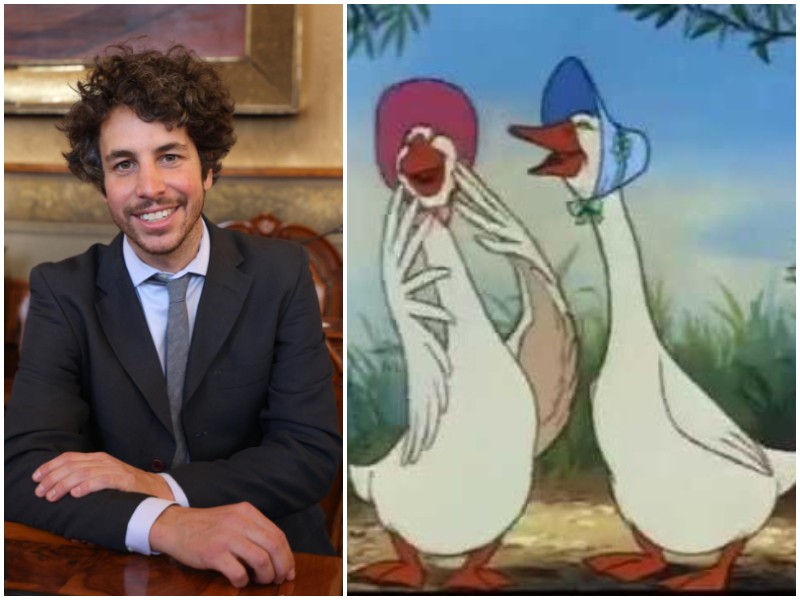 Mattia Santori denuncia “a nome del Pd” il “fatto increscioso”: “Due oche aggredite da due cani”