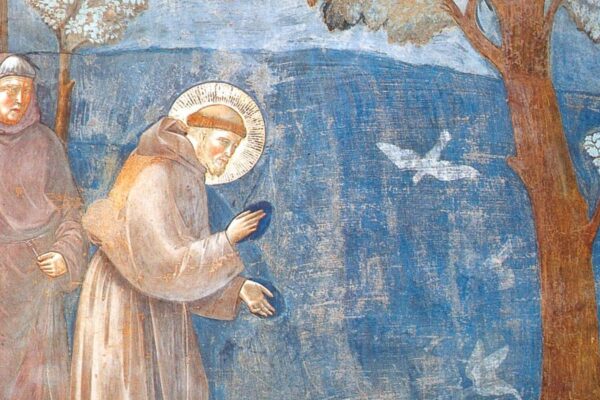 San Francesco, il santo che si fece piccolo e divenne grandissimo