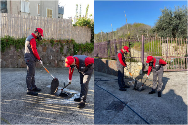 Blatte in città, ecco come eliminarle dal tuo ambiente