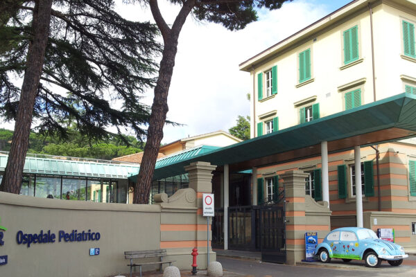 Immagine da Wikipedia