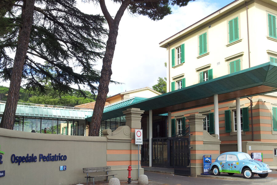 Immagine da Wikipedia