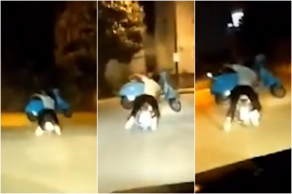 In due su uno scooter con una vespa in braccio, il video diventa virale: “Cose da pazzi”