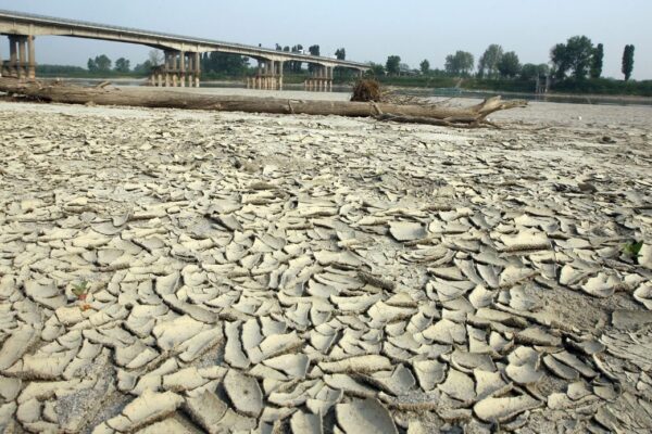 Foto da Fridays for Future Italia (Twitter)