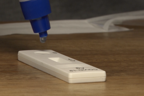 Covid, Hoara Borselli: “La liturgia del terrore non va in vacanza”