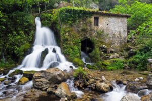Alla scoperta del cammino di San Nilo in Cilento: “103 km di percorso tra i tesori naturalistici, borghi e paesaggi incontaminati”
