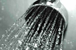 Cristina Pugliese trovata morta impiccata in doccia, indagato il compagno: il tubo stretto al collo e i sospetti degli inquirenti