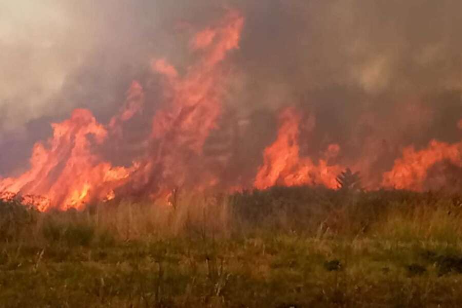Incendi in tutta Italia, la colpa non è della caldo: non esistono roghi spontanei