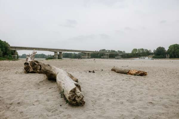 Italia nella morsa della siccità, l’epicentro si sposta dal Nord: “Chiediamo lo stato d’emergenza”