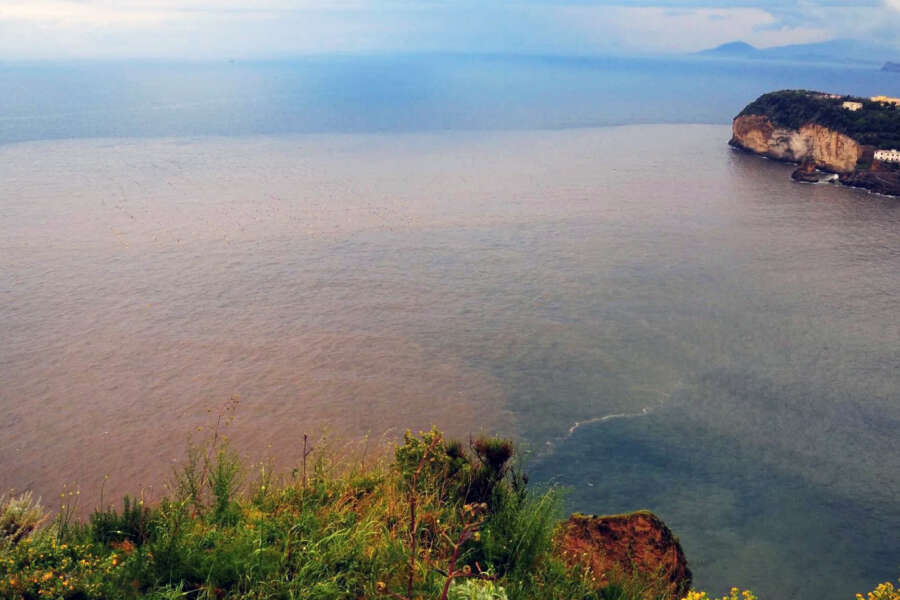 Mare inquinato in Campania, la metà del litorale è tossica: l’indagine di Goletta Verde