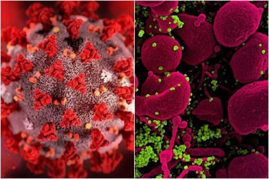 Omicron 5: sintomi, incubazione e durata della variante che “può reinfettarti ogni mese”