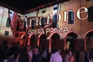 Come cambia l’Amarone, il re della Valpolicella: è boom delle giovani generazioni