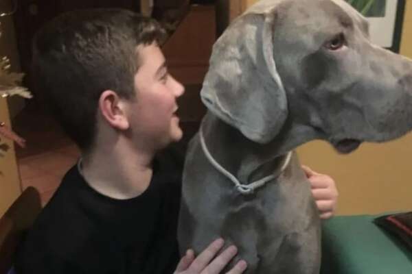 Poliziotto investe un 19enne a Roma, trovato positivo a droga e alcol: arrestato l’agente che ha ucciso Simone Sperduti