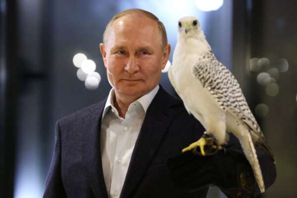 Russian President Vladimir Putin holds a falcon as he visits the Kamchatka Falcon Centre for rare bird of prey reintroduction and conservation in Milkovsky district of Kamchatka Territory, Russia Far east, Monday, Sept. 5, 2022 . (Gavriil Grigorov, Sputnik, Kremlin Pool Photo via AP)