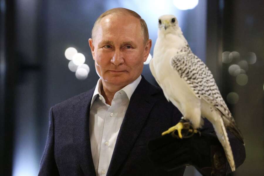 Russian President Vladimir Putin holds a falcon as he visits the Kamchatka Falcon Centre for rare bird of prey reintroduction and conservation in Milkovsky district of Kamchatka Territory, Russia Far east, Monday, Sept. 5, 2022 . (Gavriil Grigorov, Sputnik, Kremlin Pool Photo via AP)