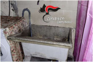 Donna segregata per 22 anni da fratello e cognata, la svolta dopo lettera anonima: “Botte se parlavo senza permesso”