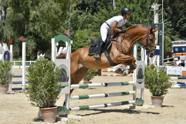 “Nuova stagione sportiva: un salto nel buio?”: il convegno al Mann