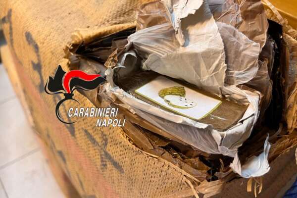 Fermato con 231 chili di droga in auto, sui panetti le foto di frutta tropicale: un ‘bottino’ da oltre due milioni di euro