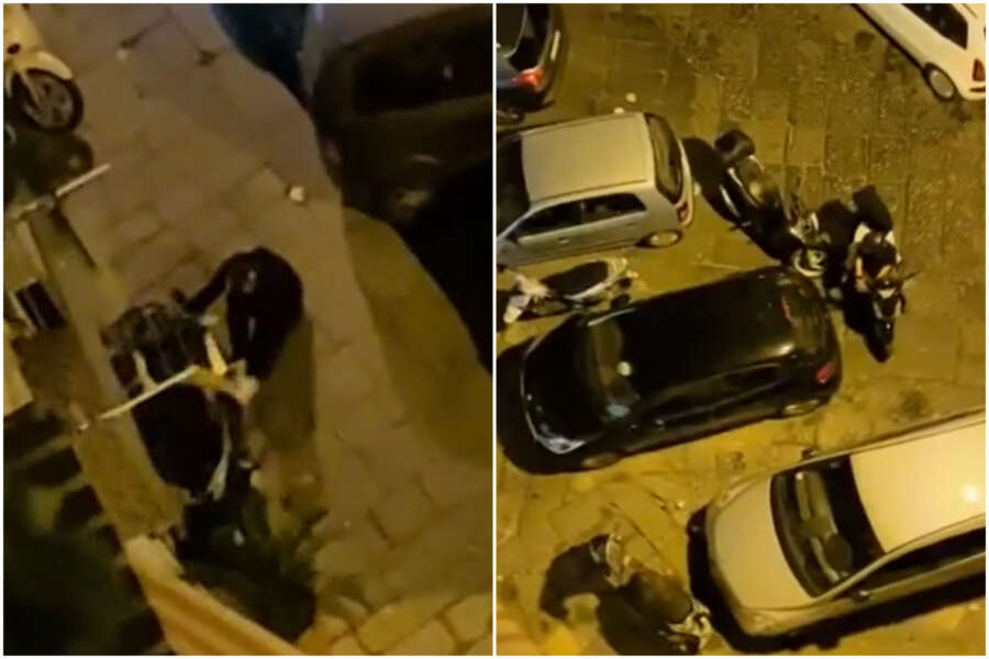 Furto col fischio, a Napoli ladri di motorini messi in fuga dal cellulare: il video e le polemiche