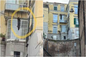 Topo morto appeso a un filo in strada, a Napoli degrado e inciviltà: sempre più sporche le strade dei turisti