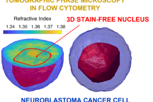 Tumori, arrivano le cellule in 3D: da Napoli l’innovativa tecnica che apre nuove strade per diagnosi precoci e cure Tumori, arrivano le cellule in 3D: da Napoli l’innovativa tecnica che apre nuove strade per diagnosi precoci e cure